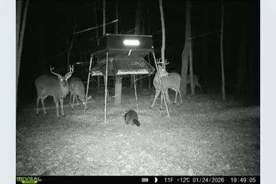 0 County Road 5, Zanesfield, OH 43360 - Photo 114