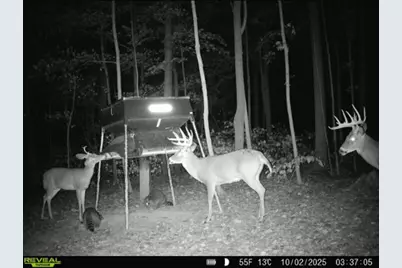 0 County Road 5, Zanesfield, OH 43360 - Photo 108