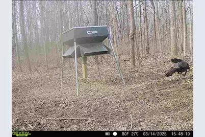 0 County Road 5, Zanesfield, OH 43360 - Photo 78