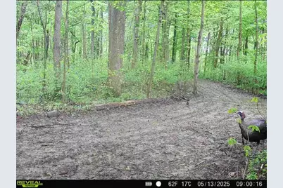 0 County Road 5, Zanesfield, OH 43360 - Photo 76