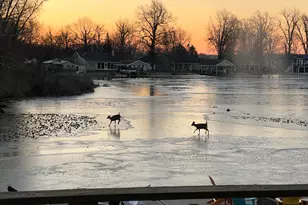 11076 Newland Dr, Lakeview, OH 43331 - Photo 56