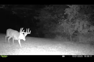 924 Eris Rd, Urbana, OH 43078 - Photo 74