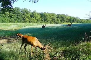 924 Eris Rd, Urbana, OH 43078 - Photo 82