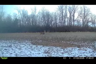 924 Eris Rd, Urbana, OH 43078 - Photo 120