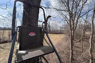 924 Eris Rd, Urbana, OH 43078 - Photo 42