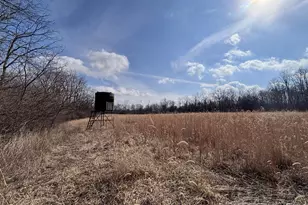 924 Eris Rd, Urbana, OH 43078 - Photo 28