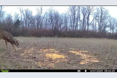 924 Eris Road, Urbana, OH 43078 - Photo 104