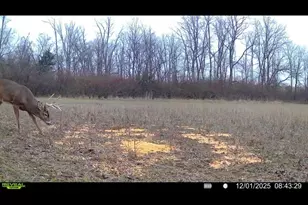 924 Eris Rd, Urbana, OH 43078 - Photo 104