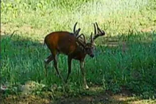 924 Eris Rd, Urbana, OH 43078 - Photo 80