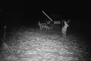 924 Eris Rd, Urbana, OH 43078 - Photo 122