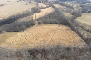 924 Eris Rd, Urbana, OH 43078 - Photo 12