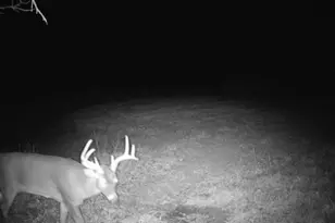 924 Eris Rd, Urbana, OH 43078 - Photo 88