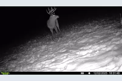 924 Eris Road, Urbana, OH 43078 - Photo 100