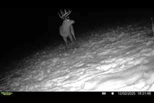 924 Eris Rd, Urbana, OH 43078 - Photo 100