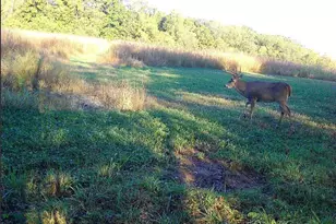 924 Eris Rd, Urbana, OH 43078 - Photo 76