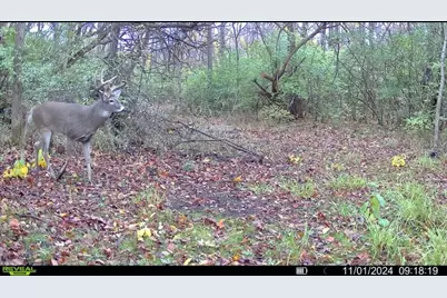 924 Eris Road, Urbana, OH 43078 - Photo 90