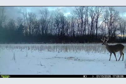 924 Eris Road, Urbana, OH 43078 - Photo 124