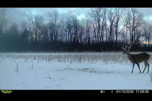 924 Eris Rd, Urbana, OH 43078 - Photo 124