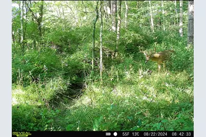 924 Eris Road, Urbana, OH 43078 - Photo 98