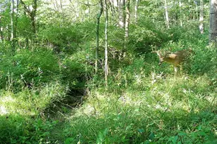 924 Eris Rd, Urbana, OH 43078 - Photo 98