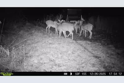 924 Eris Road, Urbana, OH 43078 - Photo 112