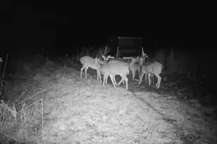 924 Eris Rd, Urbana, OH 43078 - Photo 112