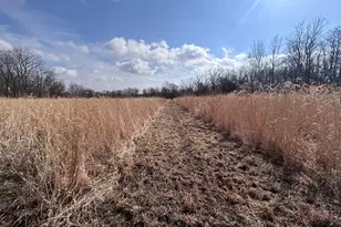 924 Eris Rd, Urbana, OH 43078 - Photo 60