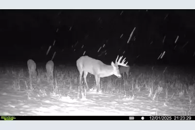 924 Eris Road, Urbana, OH 43078 - Photo 102