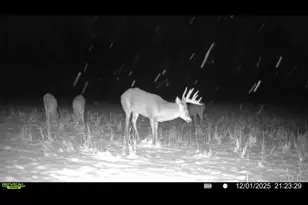 924 Eris Rd, Urbana, OH 43078 - Photo 102