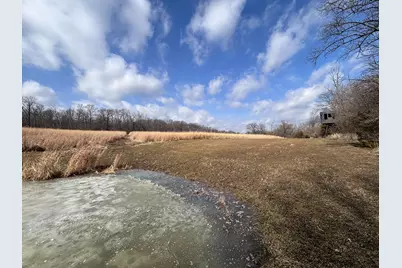 924 Eris Road, Urbana, OH 43078 - Photo 54