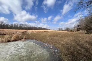 924 Eris Rd, Urbana, OH 43078 - Photo 54