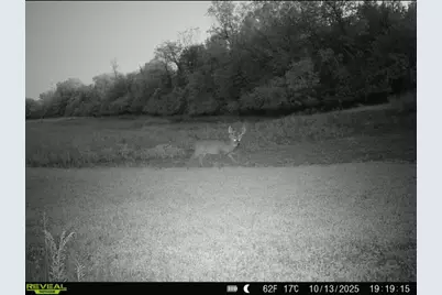 924 Eris Road, Urbana, OH 43078 - Photo 72