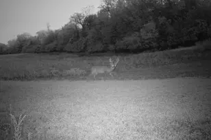 924 Eris Rd, Urbana, OH 43078 - Photo 72