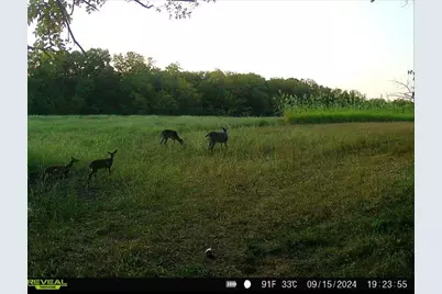 924 Eris Road, Urbana, OH 43078 - Photo 86