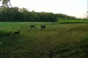 924 Eris Rd, Urbana, OH 43078 - Photo 86