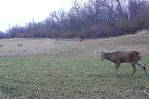 924 Eris Rd, Urbana, OH 43078 - Photo 84