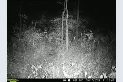 924 Eris Road, Urbana, OH 43078 - Photo 96