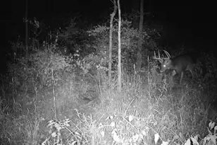 924 Eris Rd, Urbana, OH 43078 - Photo 96