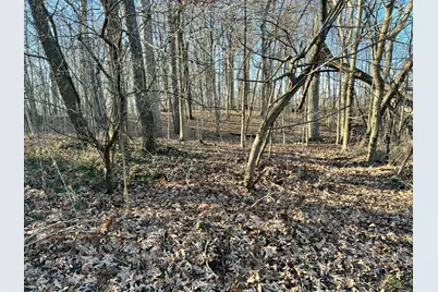 0 Burrwood Drive, Springfield, OH 45503 - Photo 2