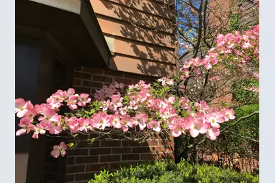 735 Tanglewood Drive, Springfield, OH 45504 - Photo 70