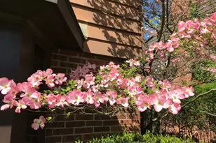 735 Tanglewood Dr, Springfield, OH 45504 - Photo 70