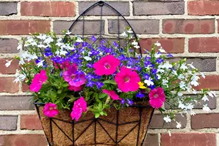 735 Tanglewood Dr, Springfield, OH 45504 - Photo 74