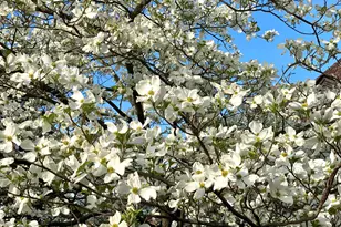 735 Tanglewood Dr, Springfield, OH 45504 - Photo 68