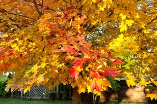 735 Tanglewood Dr, Springfield, OH 45504 - Photo 76