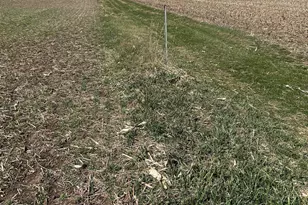 17785 Hengstler Rd, Wapakoneta, OH 45895 - Photo 16