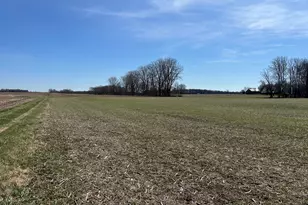 17785 Hengstler Rd, Wapakoneta, OH 45895 - Photo 18