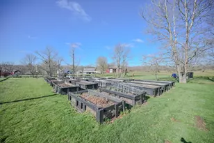 6970 Coffin Station Rd, Urbana, OH 43078 - Photo 8