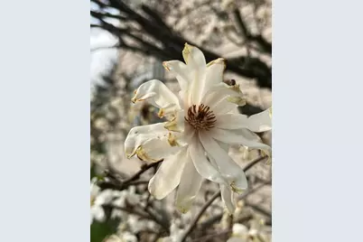 2636 Sandusky Street, Zanesfield, OH 43360 - Photo 64