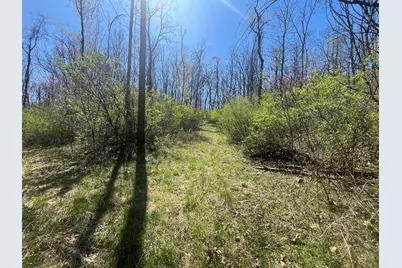 121 State, New Paris, OH 45347 - Photo 32