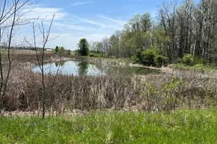 17300 Lock 2 Rd, Botkins, OH 45306 - Photo 82